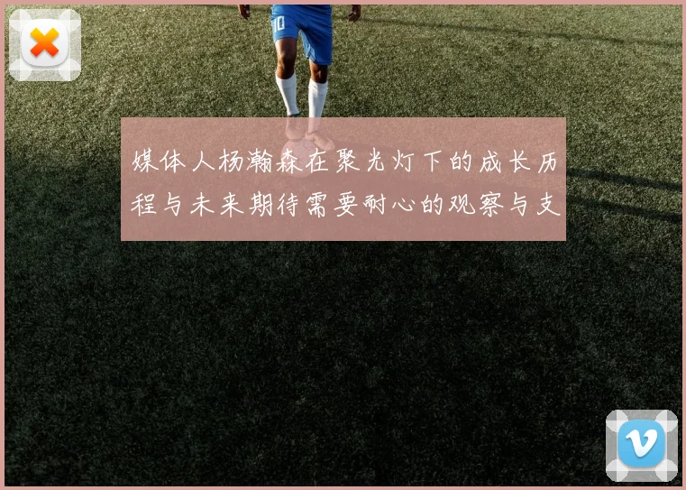 媒体人杨瀚森在聚光灯下的成长历程与未来期待需要耐心的观察与支持