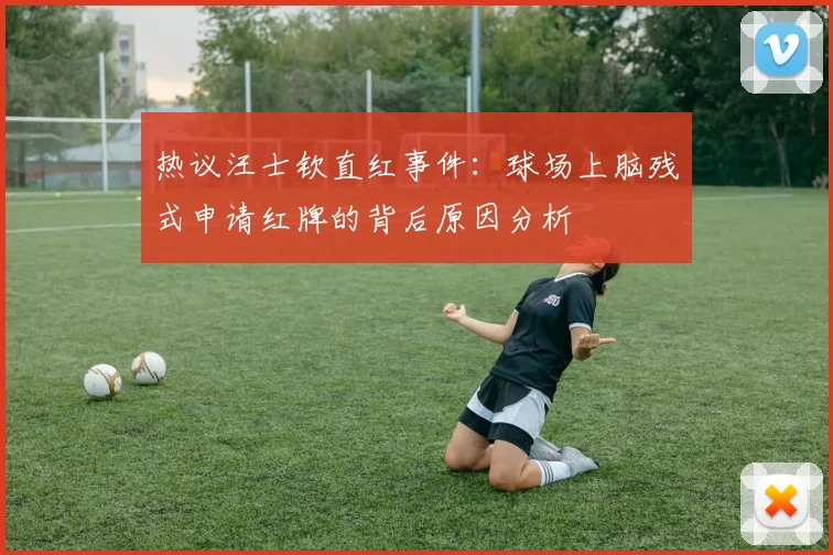 热议汪士钦直红事件：球场上脑残式申请红牌的背后原因分析