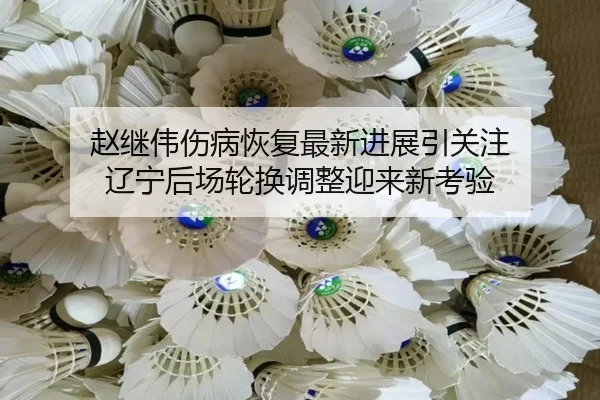 赵继伟伤病恢复最新进展引关注 辽宁后场轮换调整迎来新考验(18LUCKSPORTS)